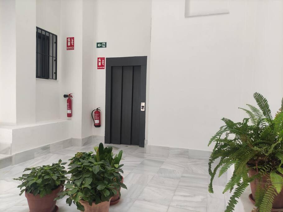 Calm & Design Suite Sevilla Exterior foto